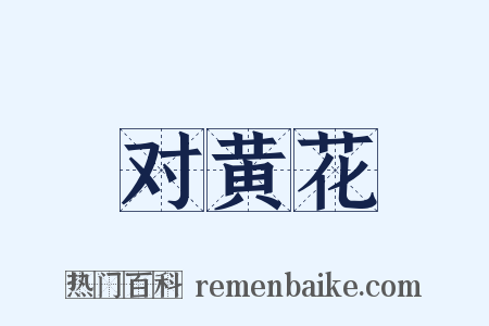 对黄花是什么意思的图片
